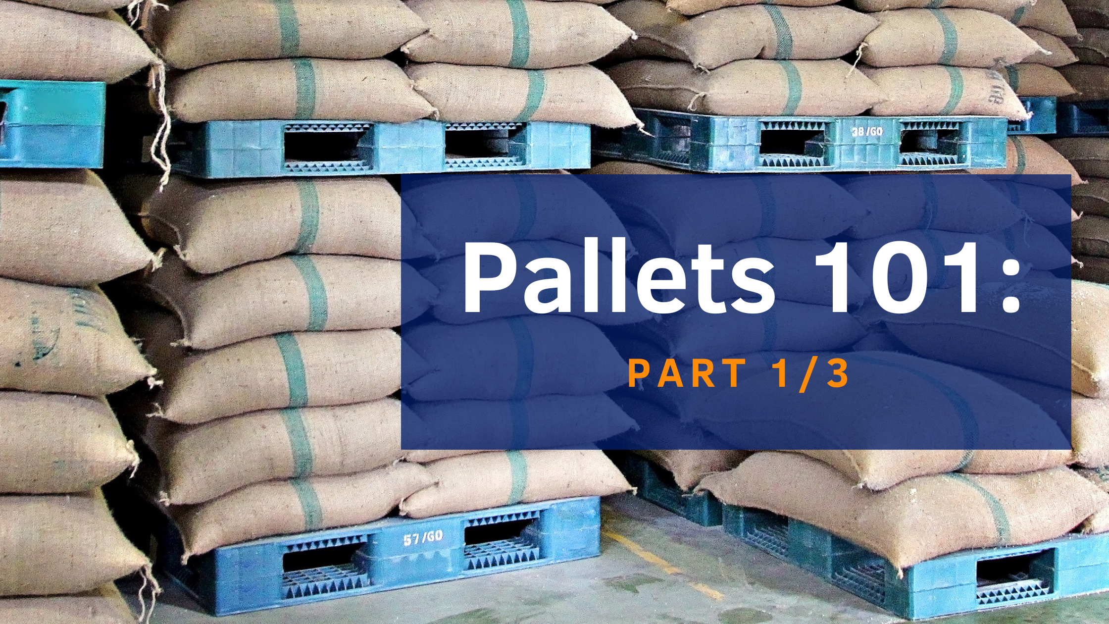 Pallets 101-1